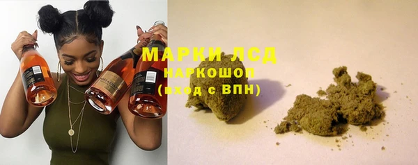 прущие грибы Белокуриха