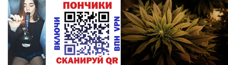 Конопля семена  где продают   гидра зеркало  Бузулук 